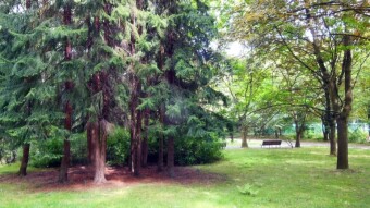 A pleasant day, without heat, but at the end slightly rainy - My Actifit Report Card: August 4 2024