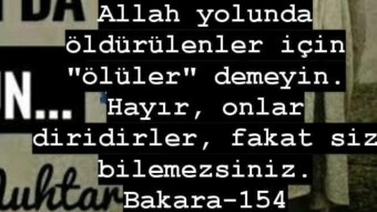 Ömer Muhtar'ı Unutmayın, Hatırlayın