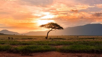 Why CryptoCurrency Adoption is Slow in South Africa