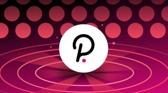 Polkadot
