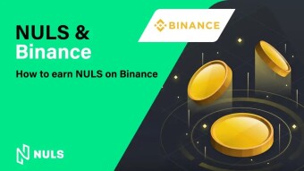 Make your NULS work for you