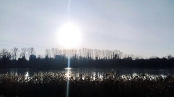 Thursday's weather was a pleasant surprise - My Actifit Report Card: December 4, 2025