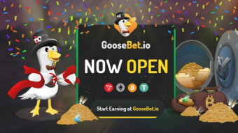 Epic X108 Win On Goose Bet Crash - Winning 700+ Goose Bet Tokens!