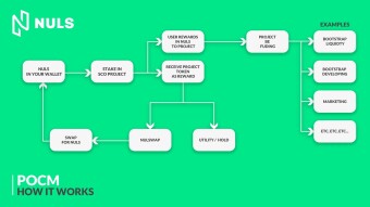 Invest in Different Projects Without Giving Up Your NULS Capital