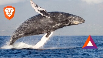 Whales and BATs - Price Consequences