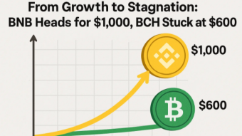 Why BNB Can Soar, While BCH Struggles to Break Free