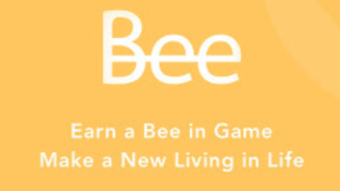 Why I think BEE Network is a scam !