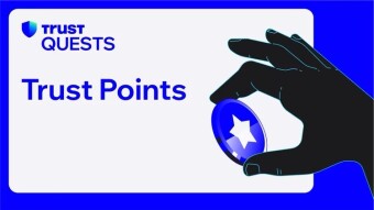 What the heck are Trust points and what are they for?