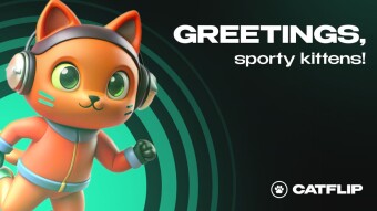 Why CatFlip Is the Best Play-to-Earn Game for Animal Lovers
