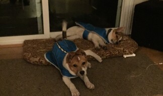 Snuggling sisters