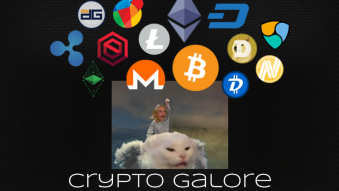 Crypto Galore |How to choose which cryptocurrency to invest in?
