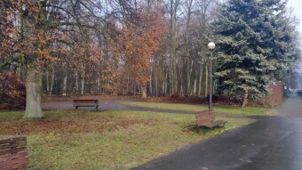 Friday morning gloomy, but later sunny - My Actifit Report Card: December 12, 2025