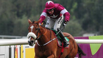 Dounikos (4.30 Punchestown, 14 Feb)