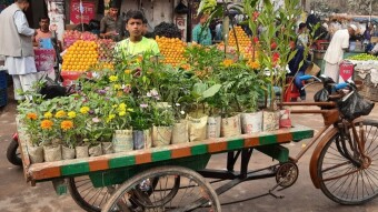 My town in 10 pics |Dagonbhuiyan | 11-1-21 |