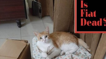 Crypto-philosophical question for crypto-holics posed by crypto cat Garu