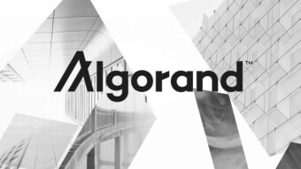 Start with Algorand! Free Algorand Faucet!