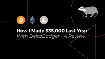 How I Made $35,000 Last Year With DeltaBadger - A Review