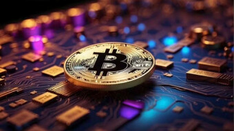 Post Bitcoin Halving News: Increased Fees, Disgruntled Miners, and More