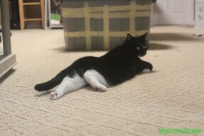 Walter lounging around