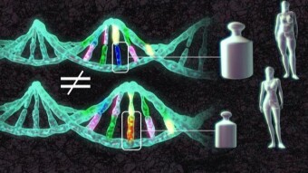 After COVID-19 comes a new virus