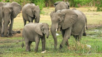 Crypto Slowly Emerging into African Market.