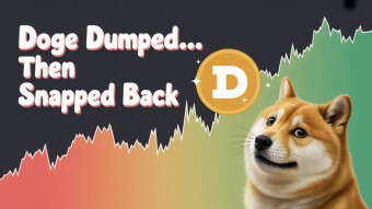 DOGE Got Slapped — Then Clapped Back