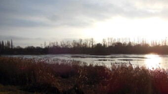 A nice day in spring atmosphere - My Actifit Report Card: December 17 2023
