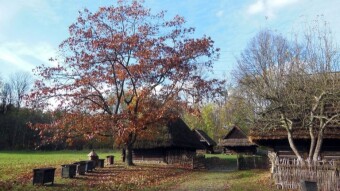 An autumn, fairy-tale walk around the Museum - Upper Silesian Ethnographic Park in Chorzów