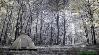 Camping out by the Cotton fields - Infrared Photography