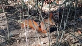 Wednesday, brilliant, very warm - My Actifit Report Card: March 11, 2026