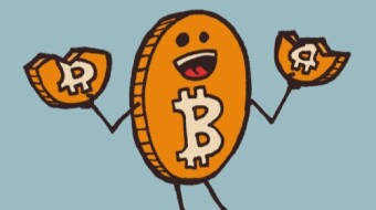 NEXT BITCON HALVINGS...
