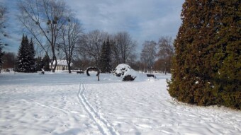The thaw is coming fast, it will get ugly and dangerous - My Actifit Report Card: December 20 2022