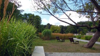 Visiting beautiful park gardens - My Actifit Report Card: July 25 2024