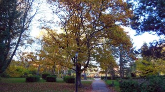Unbelievably autumnal, downright wonderful - My Actifit Report Card: October 22, 2024