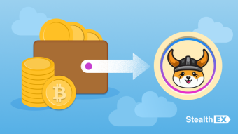 How And Where To Buy Floki Coin Now?