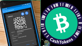 Maxis Call It 'bcash,' But We Call It the Future of DeFi!