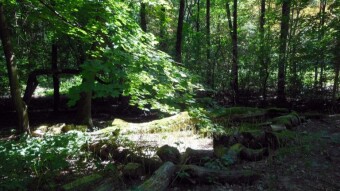 Meanders of the Michałkowicki stream - Silesian Park
