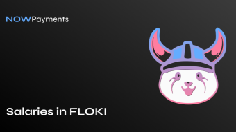 Salaries in Floki Inu