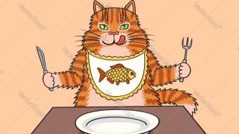 Why Do Cats Scratch? A Few Very Good Advice On How To Stop Your Cat From Scratching The Furniture!