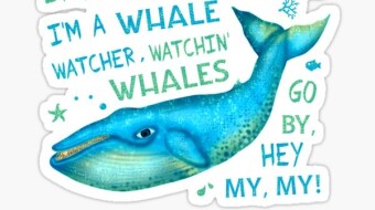 Top Whales Picks in June ($LEND, $REN, $ZRX)