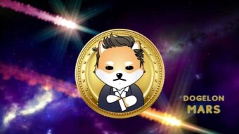 E&S Token Review (Meme-Token Edition): Dogelon Mars (ELON)