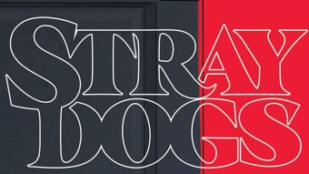 Is Stray Dogs an Instant Classic?