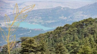 The mountains of chouia