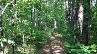 Walks through the woods with Cletus