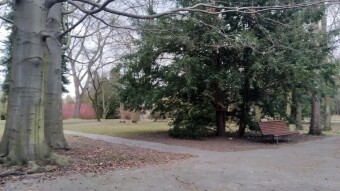 Monday is changeable but spring-like - My Actifit Report Card: March 23, 2026