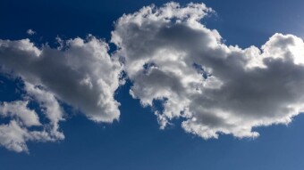 Are You A Pareidolia Person