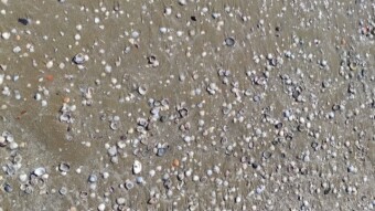 Urban hiking - Rimini Part 1 - The beach of Marebello