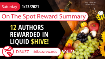 On The Spot Reward Summary, Week 13
