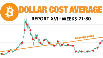 Great DCA experiment - report XVI (weeks 71-80 +11(6 new))