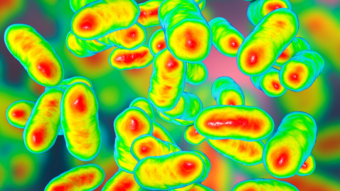 Coronavirus / Covid-19 Bacterial Genius found, Prevotella? Is this why there is a two-prong attack on your body?